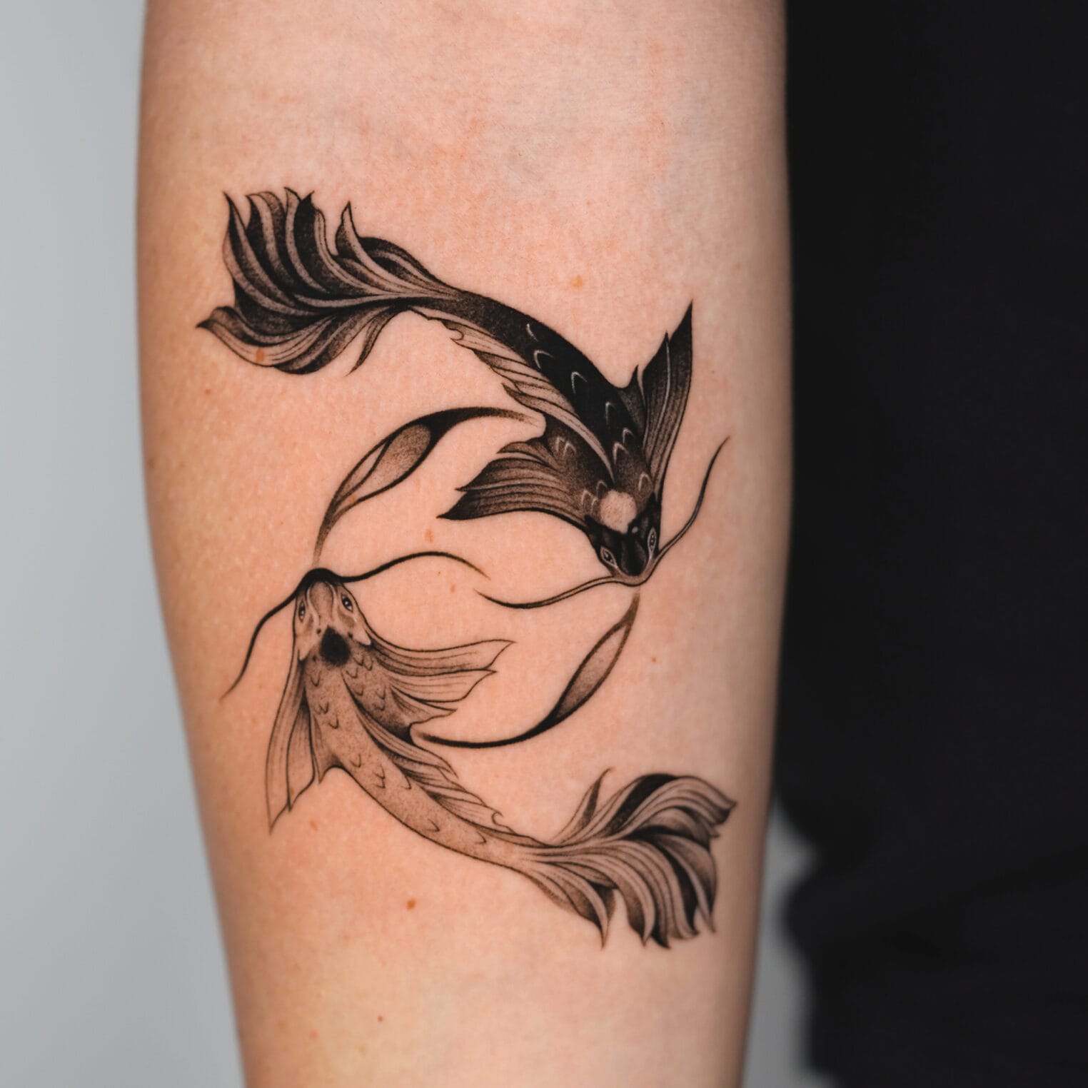 Black and Gray Koi Fish Yin Yang Tattoo on Forearm