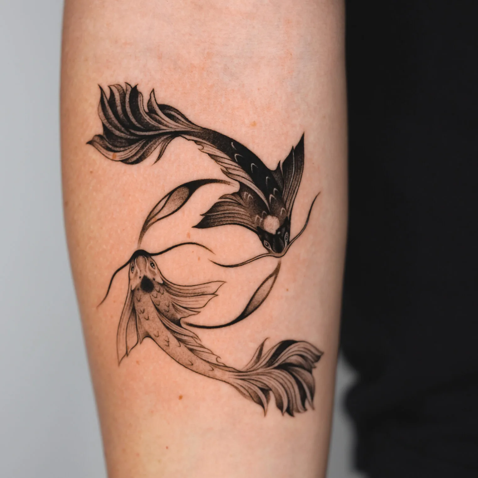 Black and Gray Koi Fish Yin Yang Tattoo on Forearm - Best tattoo shop in  Los Angeles - Art Collector Tattoo Studio, image size:1524x1524