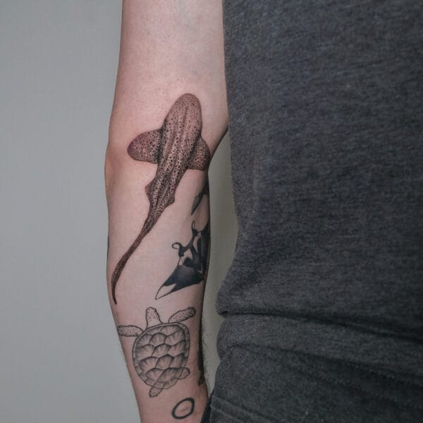 Realistic Zebra Shark Tattoo on Back of Arm