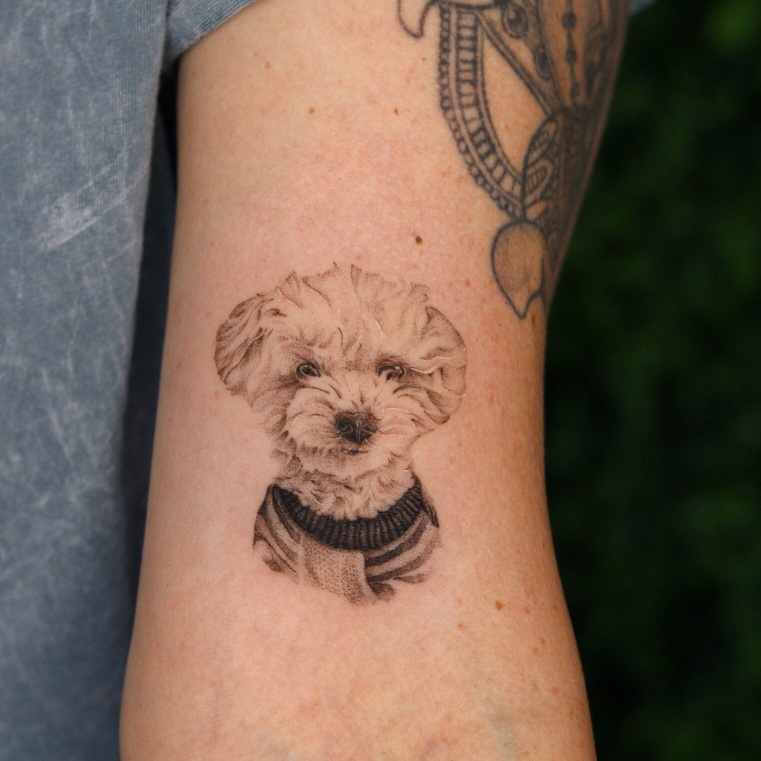 Pet Portrait Tattoo on Upper Arm