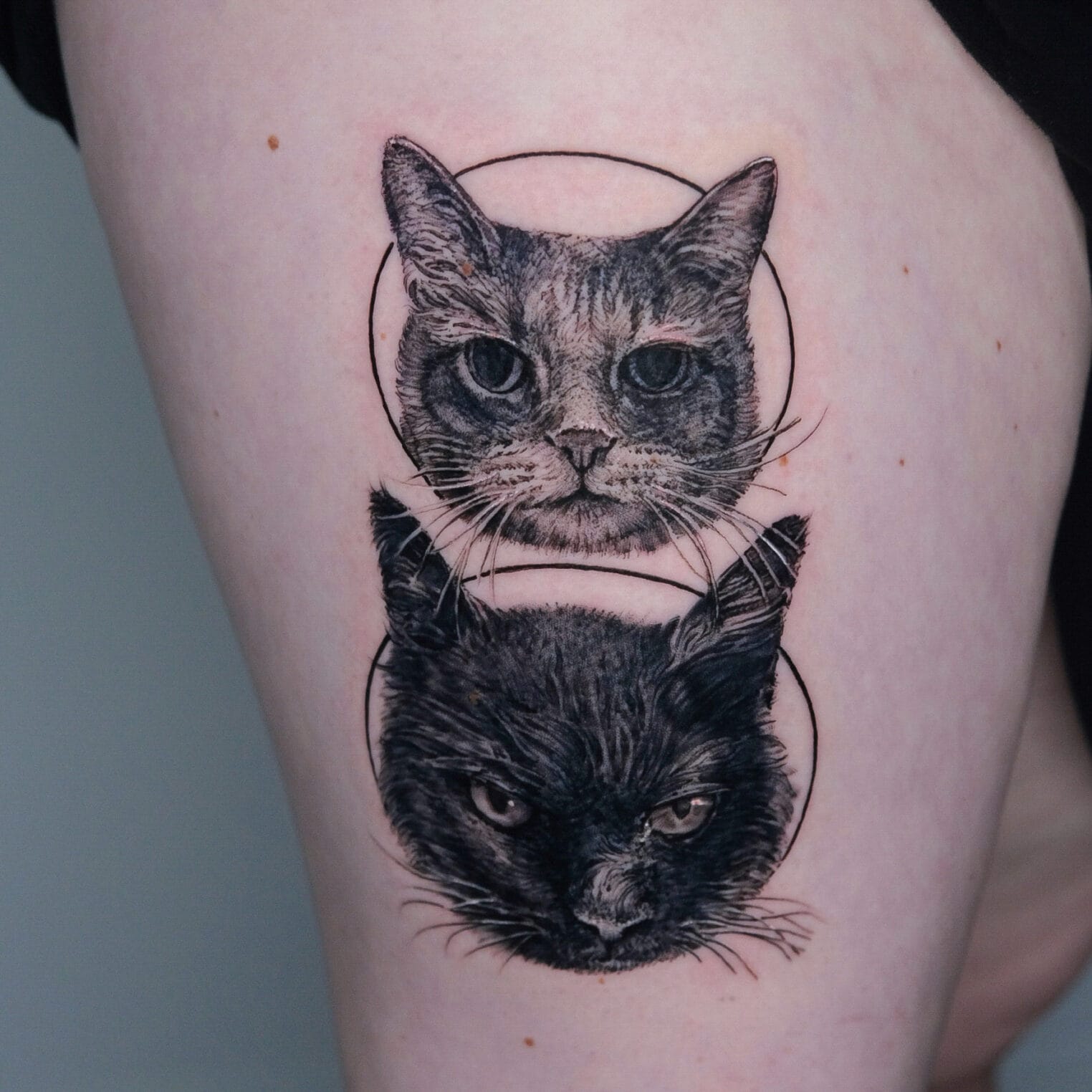 Two Cat Portraits Tattoo on Thigh