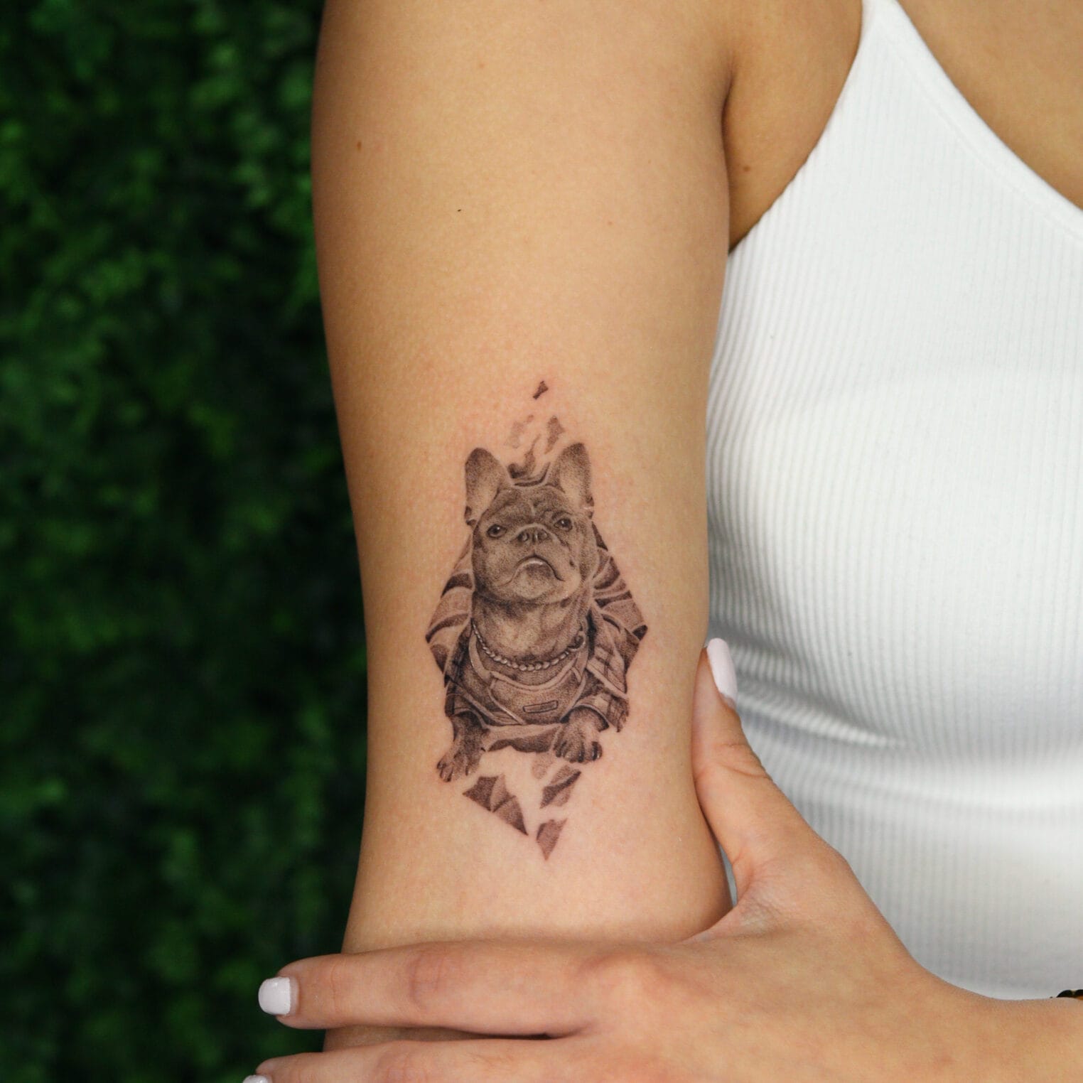 Small Dog Portrait Tattoo On Arm