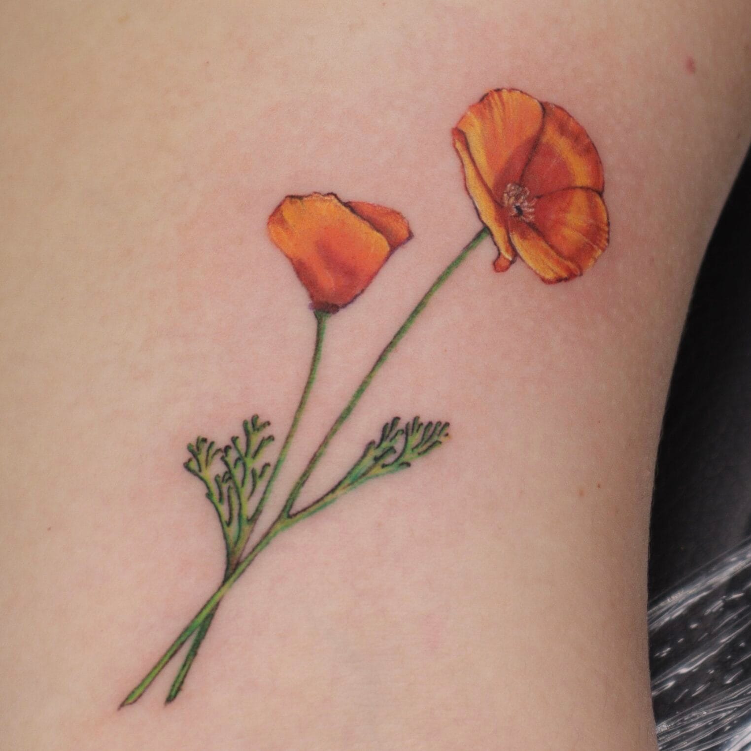 Small California Poppy Flowers Tattoo on Inner Bicep