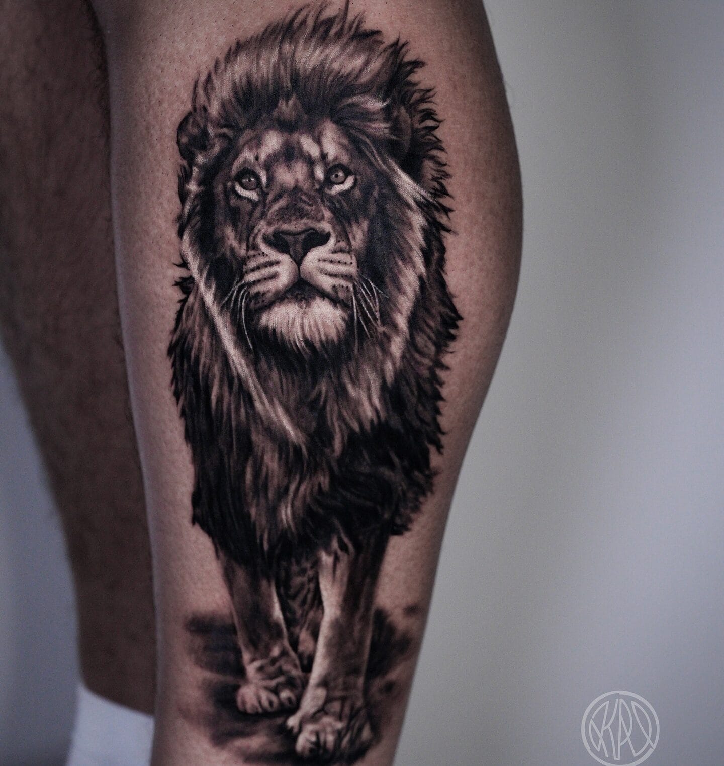 Realistic Lion Tattoo on Lower Leg