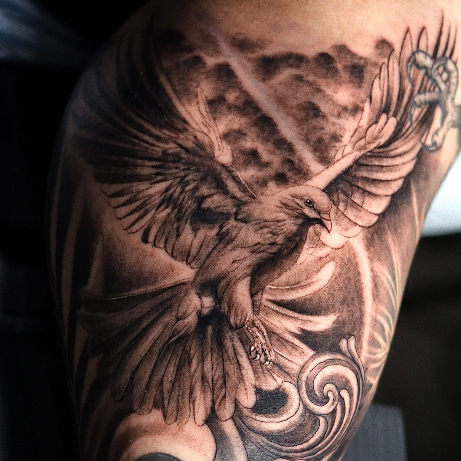 Dove Tattoo on Bicep