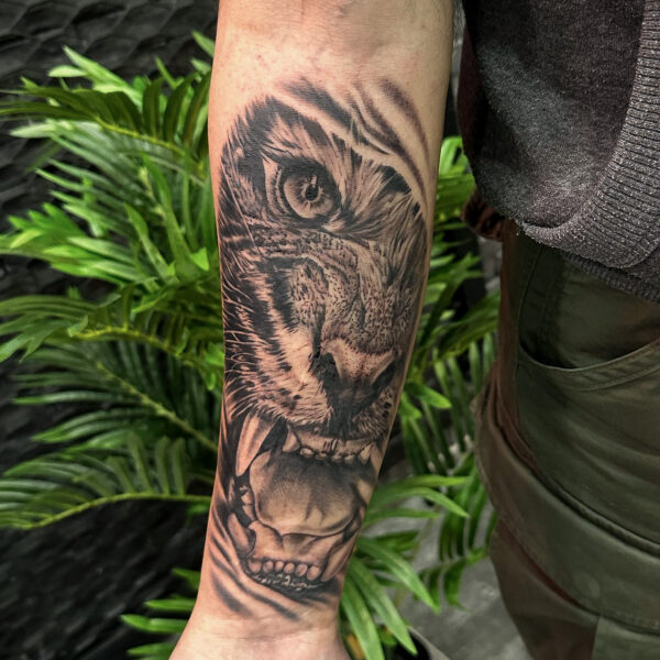 Tiger Tattoo on Forearm