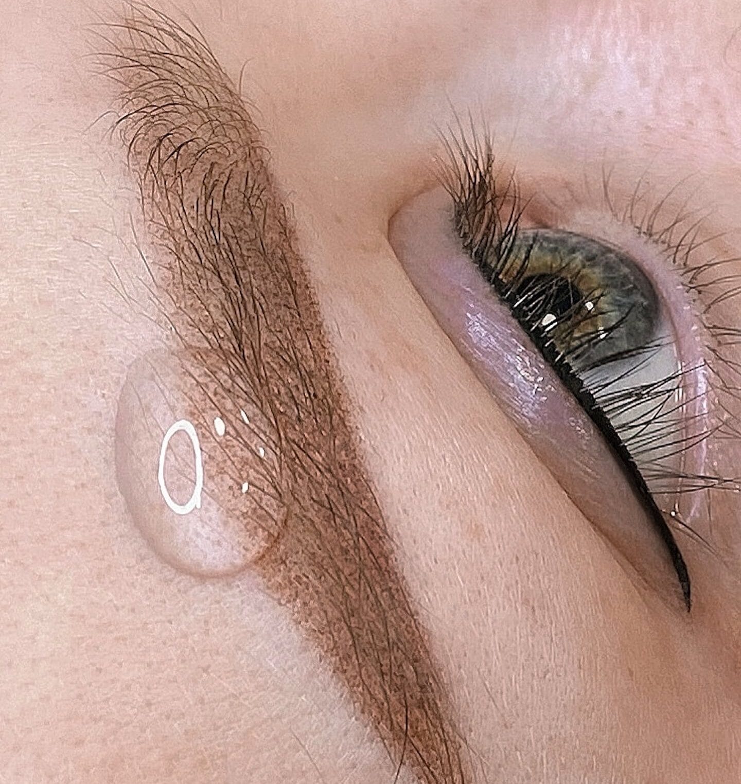 Permanent Natural Brows Look