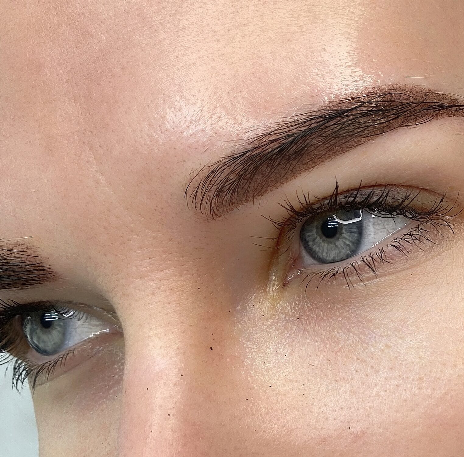 Soft Powder Brows Look