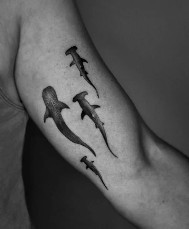 Micro Realism Shark Tattoo on Bicep in Black and Gray - Best