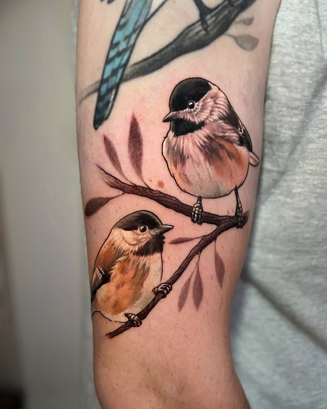Neo-Traditional Chickadee Tattoo on Shoulder