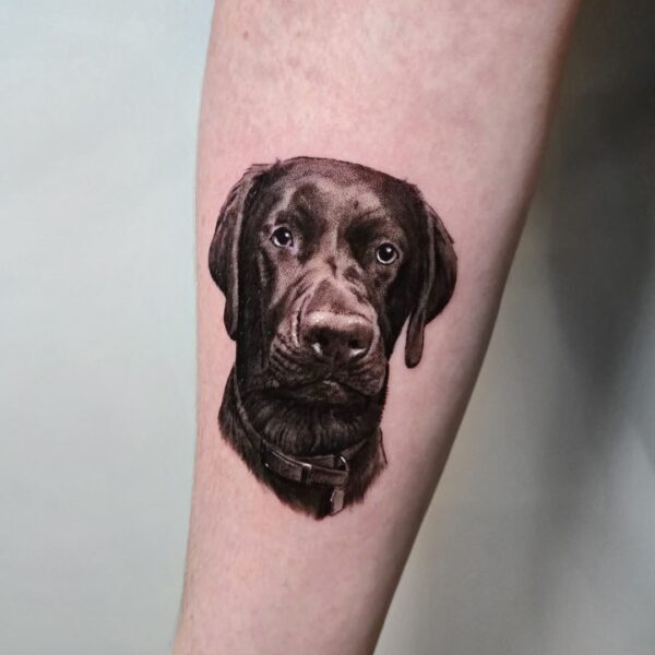 Forearm Tattoo of a Dog in Black and Grey Realism