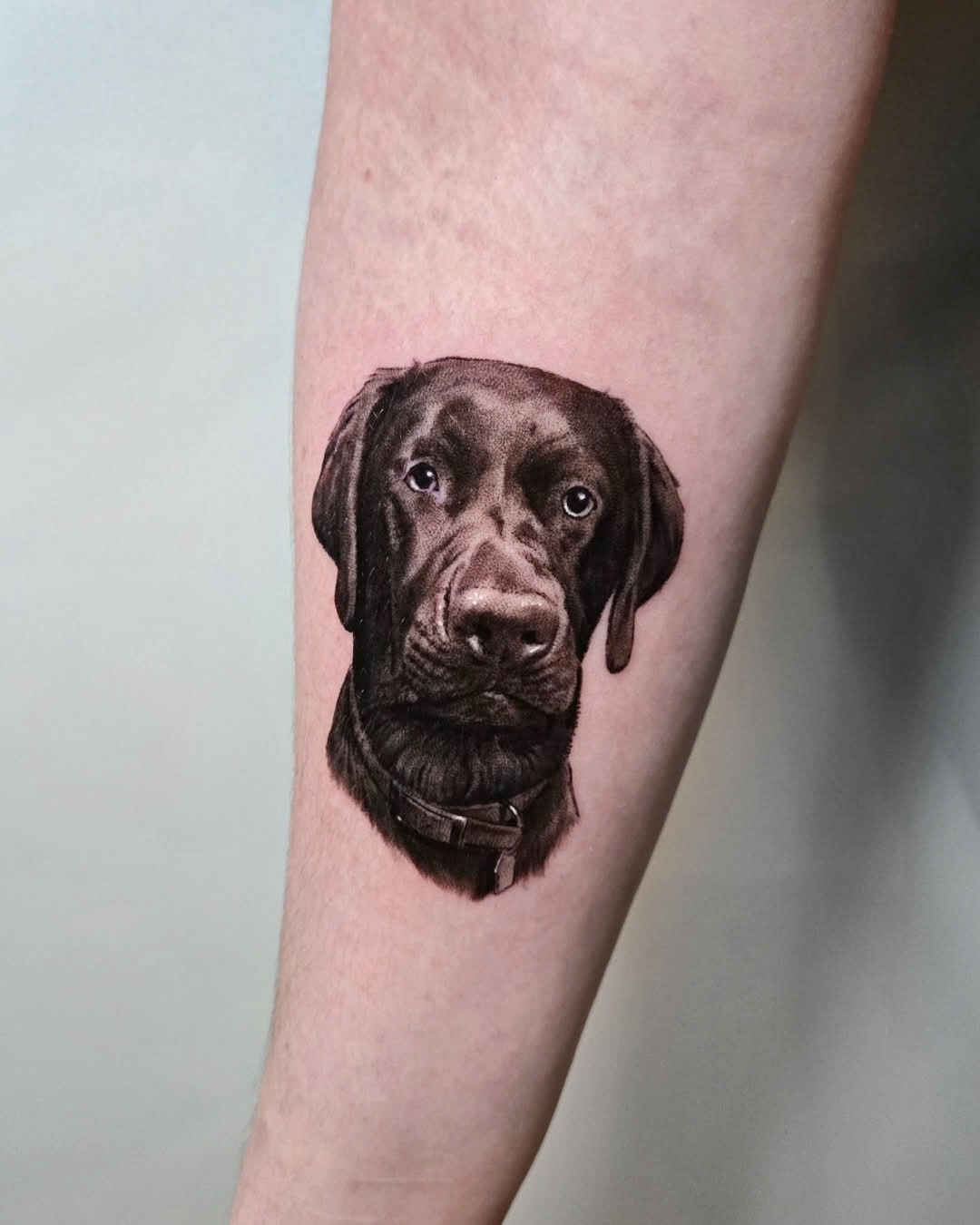 Forearm Tattoo of a Dog in Black and Grey Realism