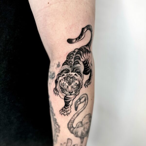 Black and Gray Japanese Tiger Tattoo on Arm