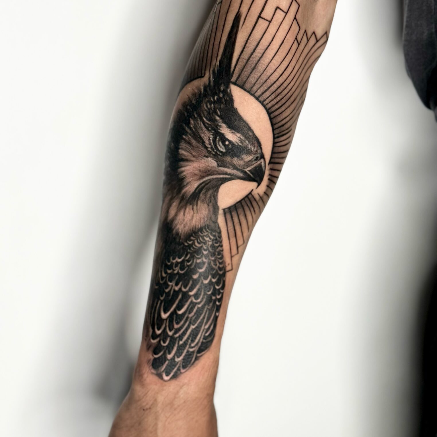 Realistic Ornate Hawk-Eagle Bird Tattoo on Forearm