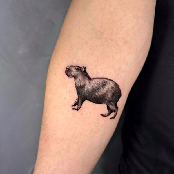 Realistic Miniature Capybara Tattoo on Forearm