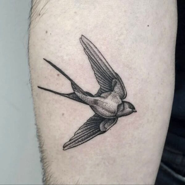 Black and Gray Sparrow Tattoo on Arm