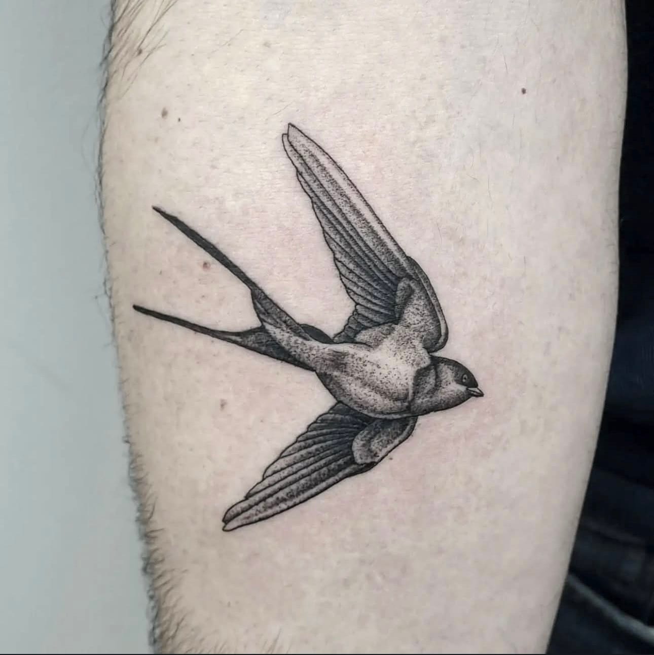 Black and Gray Sparrow Tattoo on Arm