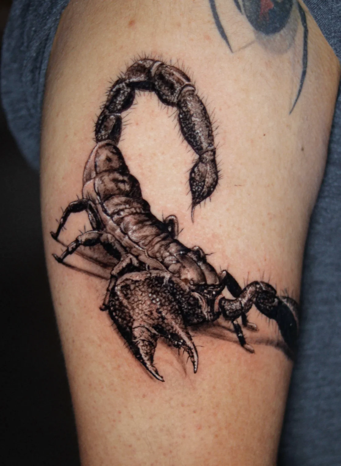 3D black and grey realism scorpion tattoo la