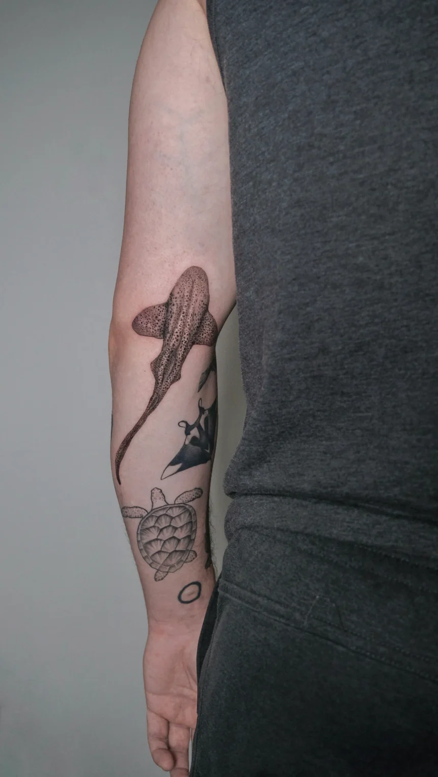 zebra shark micro realism tattoo mar vista