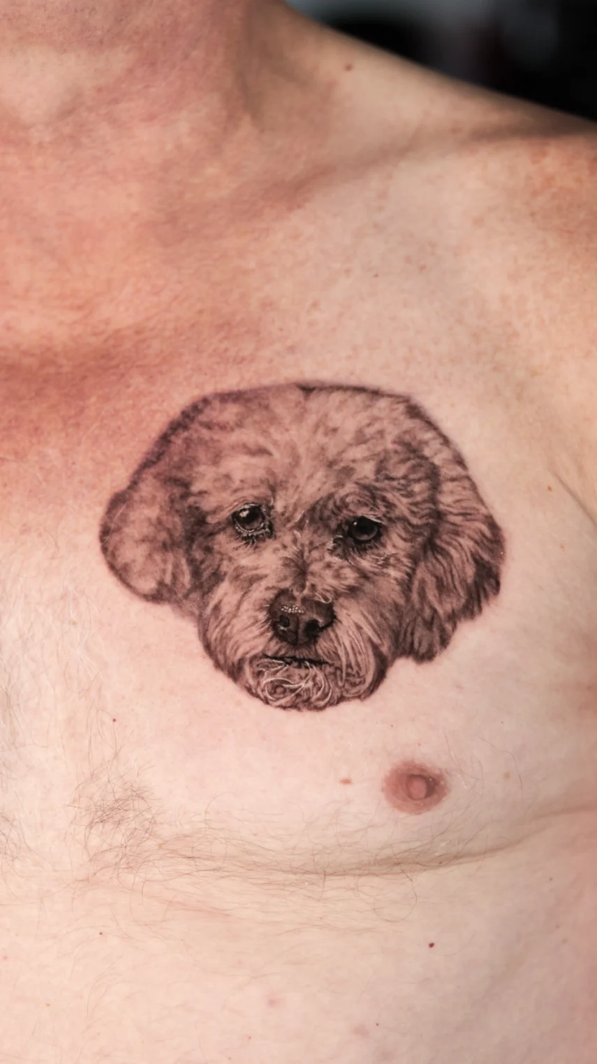 dog portrait on chest realism tattoo los angeles