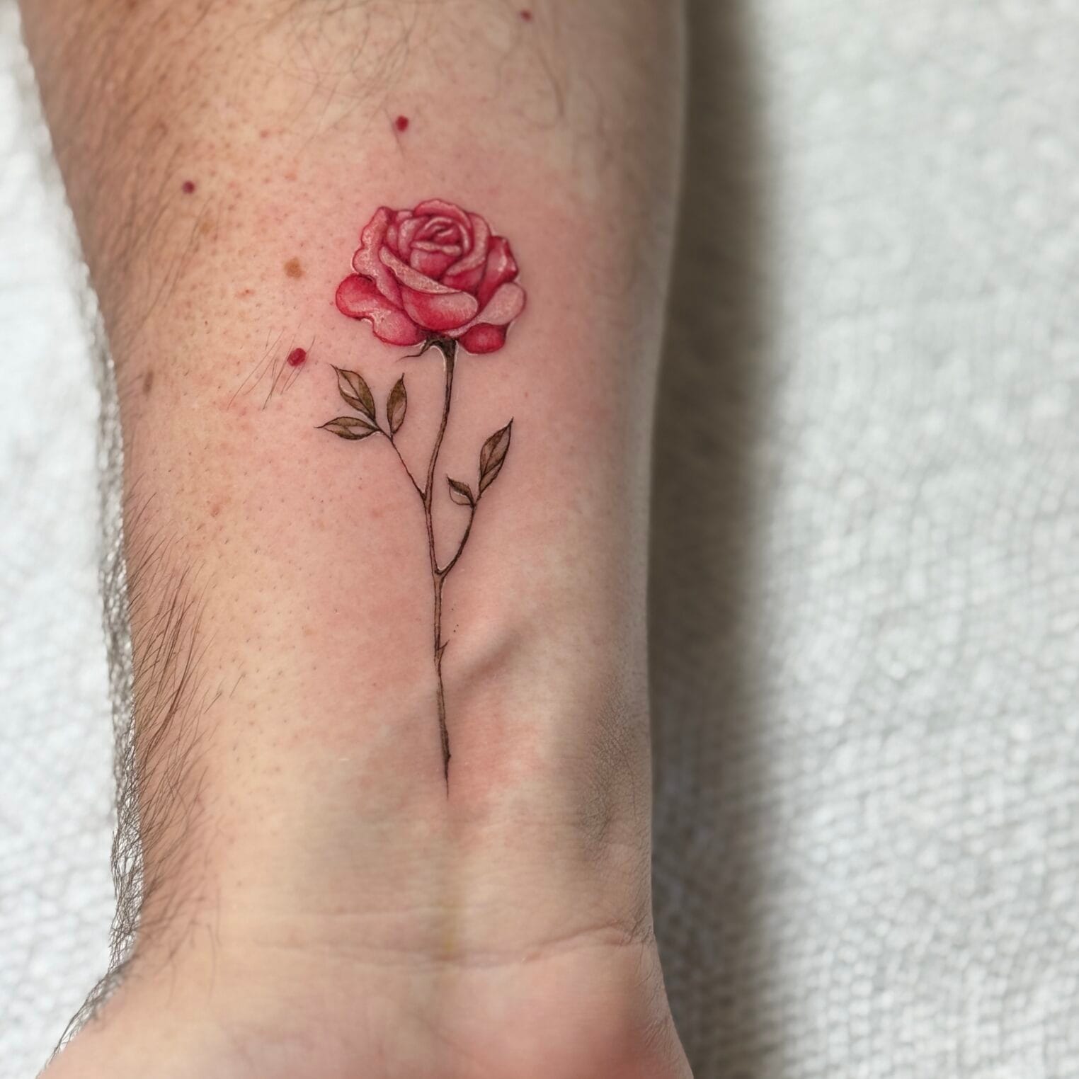 Small Color Rose Tattoo On The Wrist