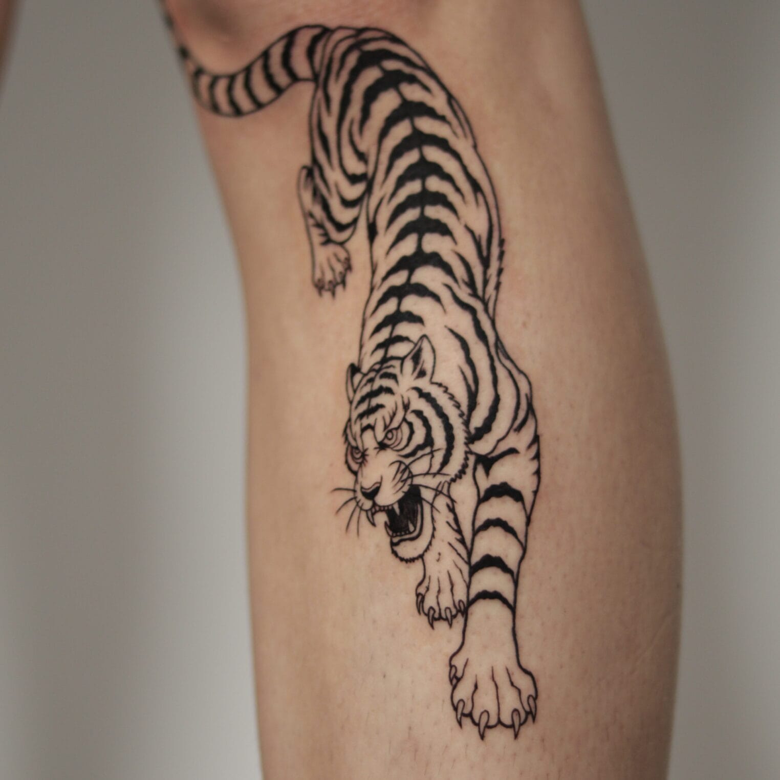 Tiger Outline Tattoo Below The Knee